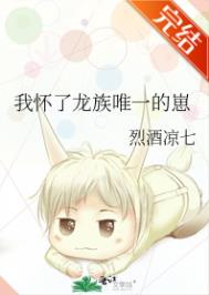 四叶草免费隐藏人口